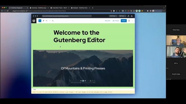 WordPress Developer Hours – WordPress Playground (Americas)