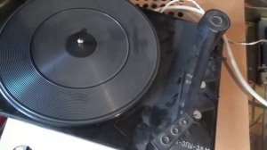 Сириус 315 пано с мусорки