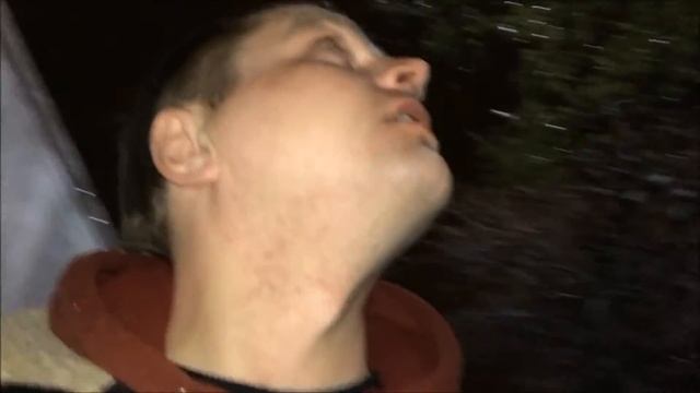 Поющее дерево#Техас#США смотреть онлайн