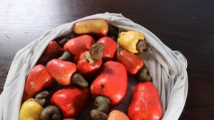 Cambodia Part 1 : How do Cashew nuts grow?