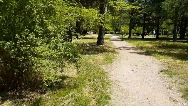 Забор разворован/Гагаринский парк/Набережная/Симферополь/Крым