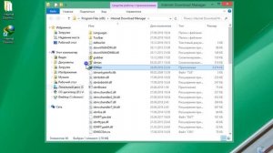 Internet Download Manager 6.31 Build 7 + бесплатный ключ [Программа для скачивания]