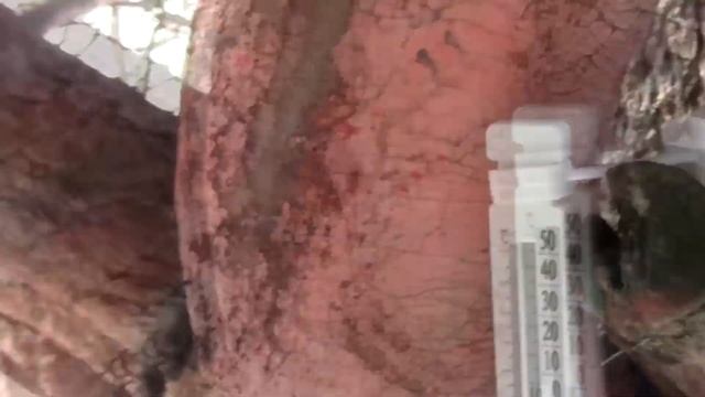Эксплуатация безрамного остекления зимой..