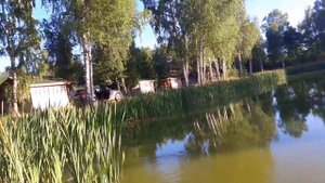 Ловля змей вручную - уж атакует рыбу во время рыбалки на карася. Охота на змей :)