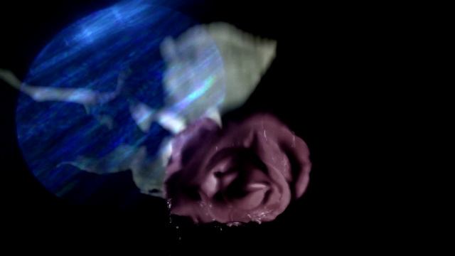 Frozen Rose _ Turkish Delight _ Khalil Turk & Friends (featuring Chris Ousey on vocal) смотреть онлайн