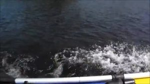 HDX5 и гладиатор В330