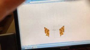 Бабочка летающая в Excel  Анимация  Просто и красиво