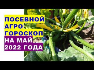 Посевной агрогороскоп на май 2022 года