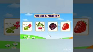 Выросли на грядке.  Урок русского языка в нулевом классе в казахской школе.