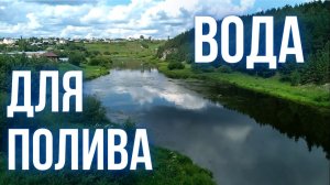 Что нужно знать о воде для полива