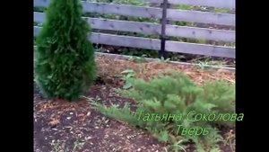 Создаем декоративный сад своими руками - САД ТРЕХ У. Дизайн участка своими руками.
