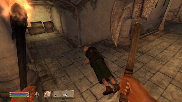Day 380 - Killing Adoring Fan Every Day Until Elder Scrolls Skyblivion is Released