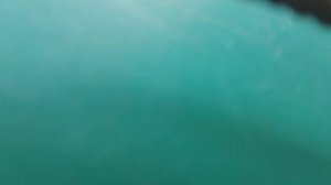 ✔Дополнительный фильтр воды своими руками, для полива из реки