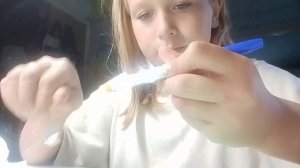 влог. как сделать стилус  делаю график