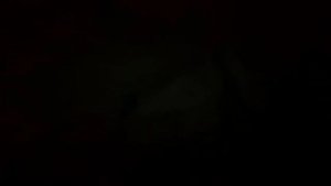 Все Смерти Outlast--