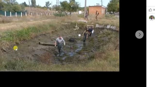 Собрали «урожай» австралийских красноклешневых раков в Херсоне 2021. Питание, экономика, фермерство смотреть онлайн