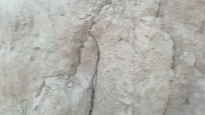 Берег Унгинского залива. Нукутский район Иркутской области