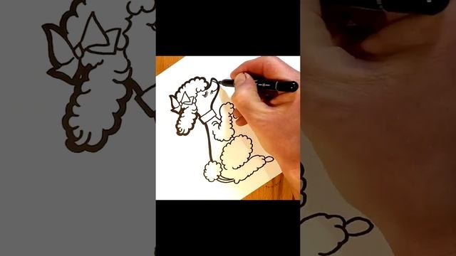 Как нарисовать собаку пуделя / how to draw a poodle dog