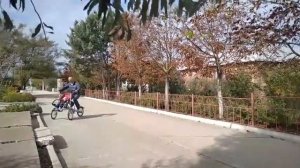 Велоколяска Taga bike в Крыму (Щелкино)