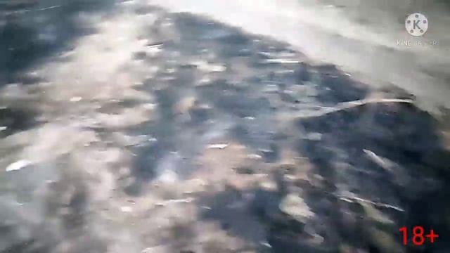 ПОЖАР В ГОРОДЕ НОВОАЛТАЙСК. ПОСЛЕДСТВИЯ ПОЖАРА.