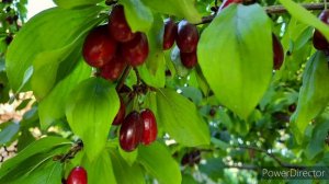 ПРОЩАЙ АВГУСТ !!! ПОКА ЛЕТО...