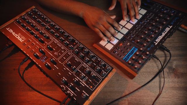 Prophet REV2 Desktop and Tempest - 10 Good Minutes Ep. 1 смотреть онлайн