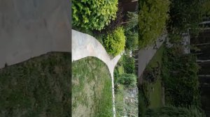 Укладка дикий камень во дворе Коттедже!