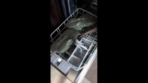 Стираю кроссовки в посудомойки