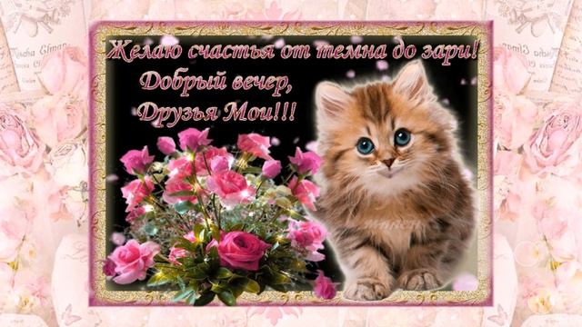 Добрый ВЕЧЕР! Отличного желаю настроения и много положительных мгновений! смотреть онлайн