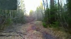 02 июня 2015 Усть-Кут. Поездка. Асфальт в лесу