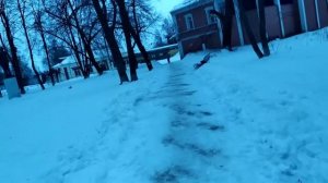 Здравствуйте ...?забор покрасьте? Ностальгия по заграницам♥