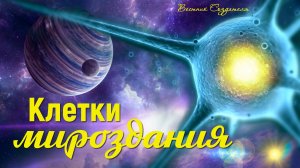 клетки мироздания