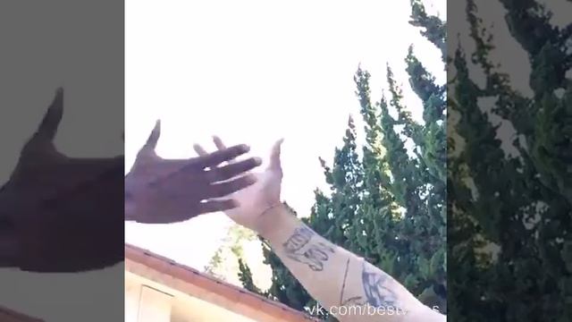 Как здороваться с высокими людьми смотреть онлайн