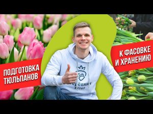 Фасовка срезки тюльпанов и хранение.