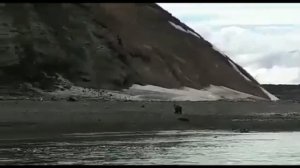 Утонул, убегая от медведя