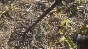 Обзор металлоискатель  TIANXUN TX-850 - HAZLEWOLKE 850 -TX-850