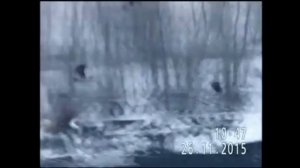 ОРЛАН-БЕЛОХВОСТ НА ЛЕТУ ЛОВИТ ДОБЫЧУ (на 39 секунде!)