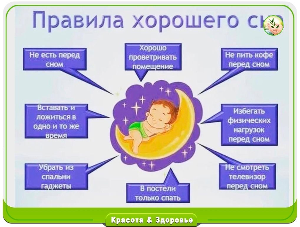 По рисункам расскажите что нужно что можно и чего нельзя делать перед сном