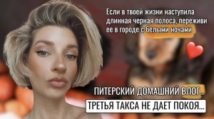 ГОРОД С БЕЛЫМИ НОЧАМИ, ПИТЕРСКИХ ВЛОГ ОБ ИНТЕРЕСНОМ