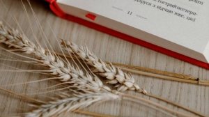 Слушай свое тело. Лиз Бурбо. Основные мысли из книги