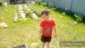 Дождеватель осцилирующий с 17 фарсунками, и полив своими руками.Дела огородные.
