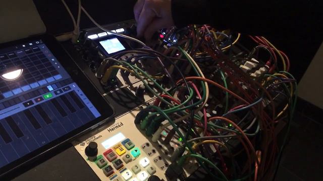 Loving modules ! смотреть онлайн