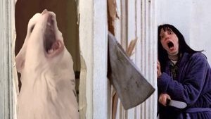 А вот и MEOWWWW!