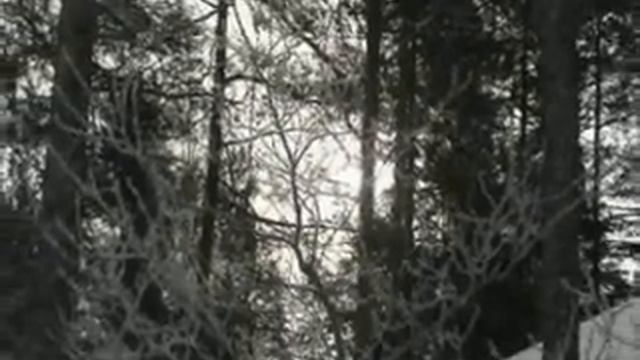 Весенний лагерь смотреть онлайн