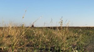 Борона дискочизельная БДЧ-5,7х4 /"Росомаха"