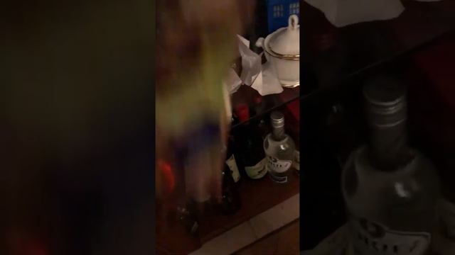 Давай вкусняшки! Вольт и Пряник заняты решением самой важной проблемы. смотреть онлайн