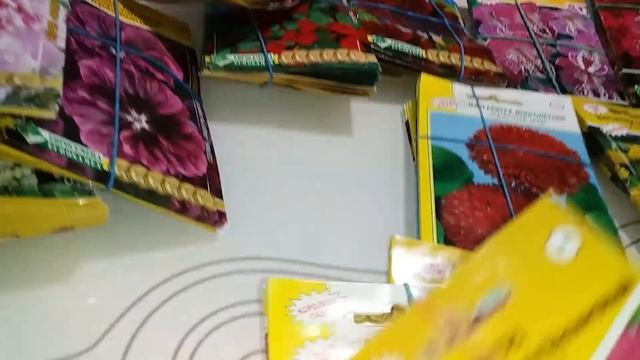 Семена цветов, которые я буду сеять в этом году. Мой обзор цветочных семян.