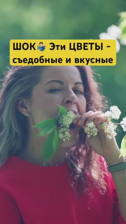 Легко украсят не только сад, но и стол! 🌺7 съедобных цветов