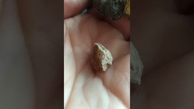 Амбра vs бурштин смотреть онлайн