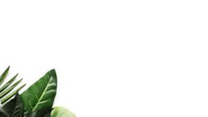 Learn English Through Story Level 2🔥| Learn English Through Stories | English Story Reading